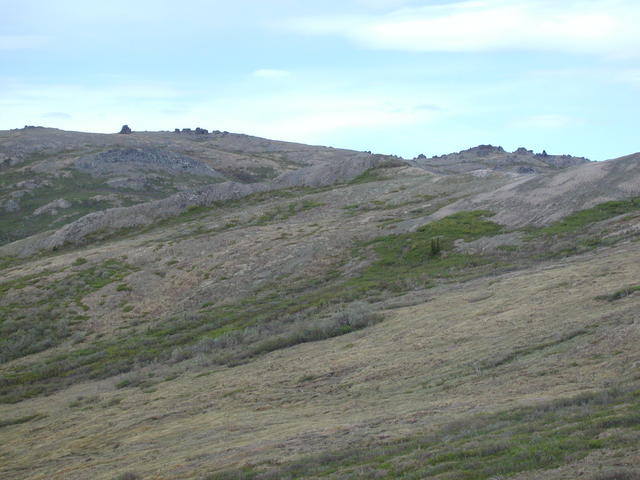 p5290043