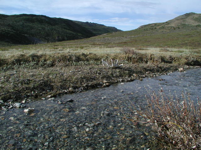 p5290055