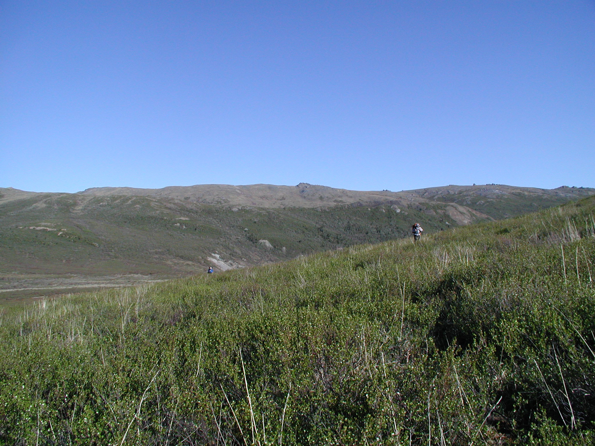 p5300060