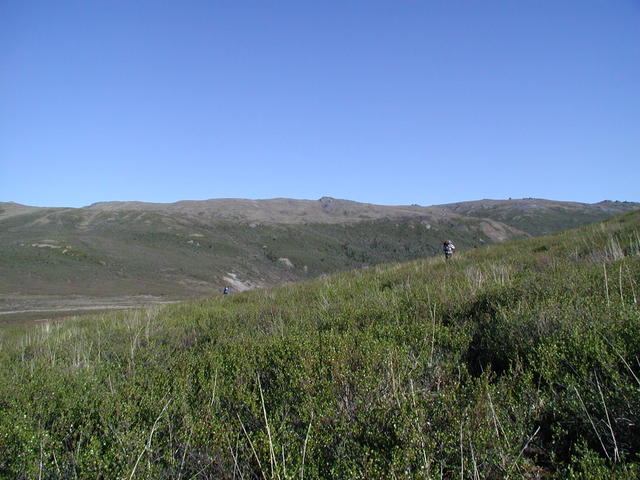 p5300060