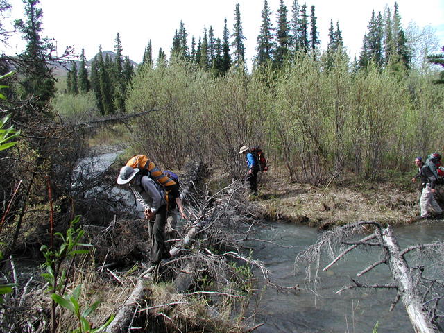 p5300068