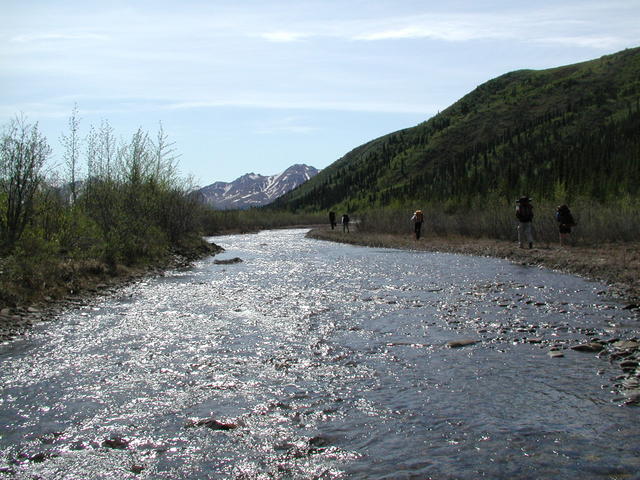 p5300077