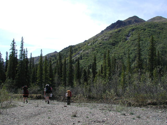 p5300079