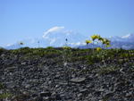 dscn0419