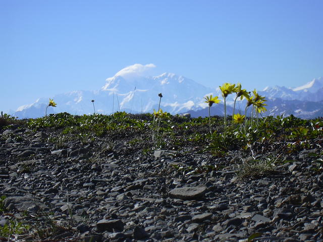 dscn0419