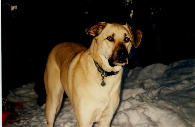 Kenai